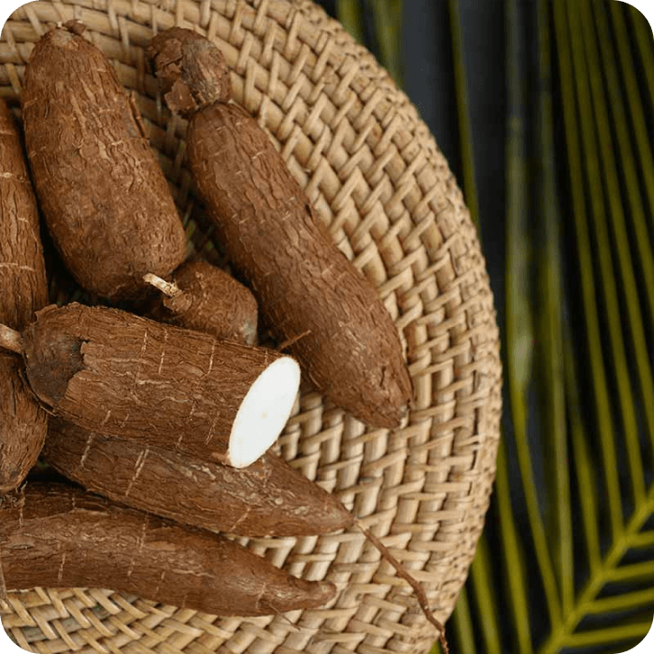 Cassava