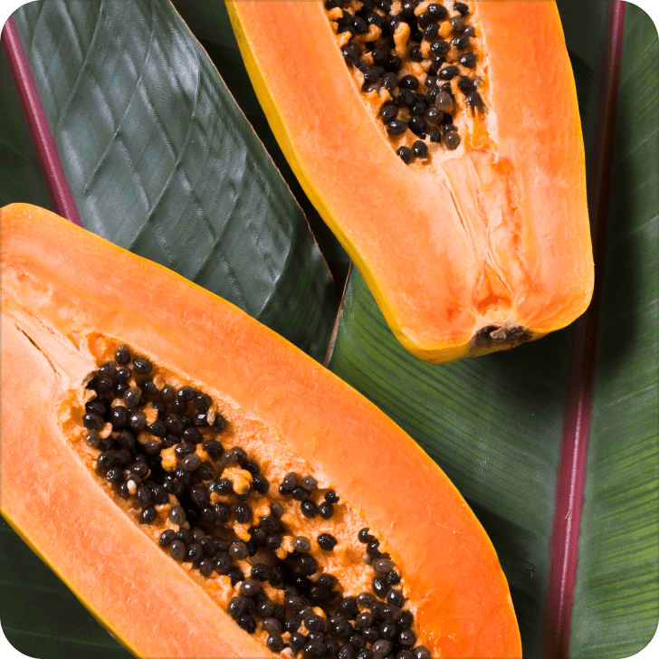 Papaya