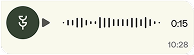 Sanctu Audio Message