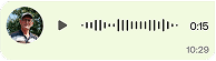 User Audio Message